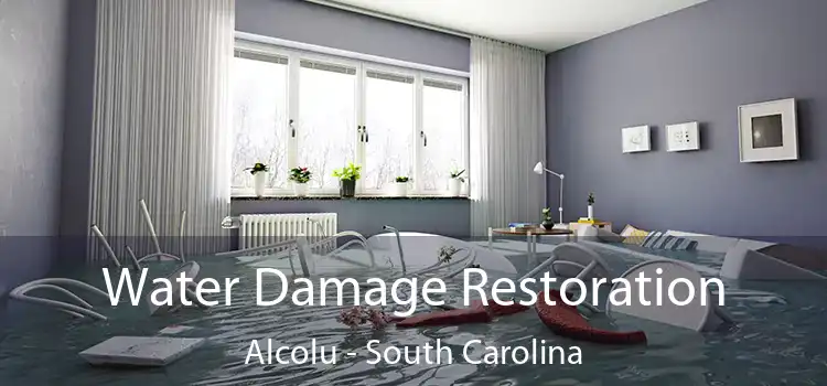 Water Damage Restoration Alcolu - South Carolina