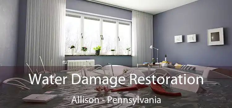 Water Damage Restoration Allison - Pennsylvania