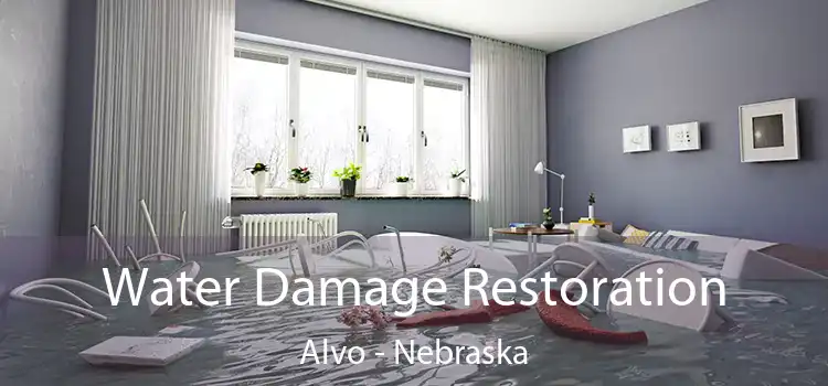 Water Damage Restoration Alvo - Nebraska