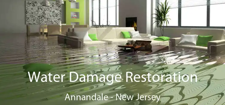 Water Damage Restoration Annandale - New Jersey