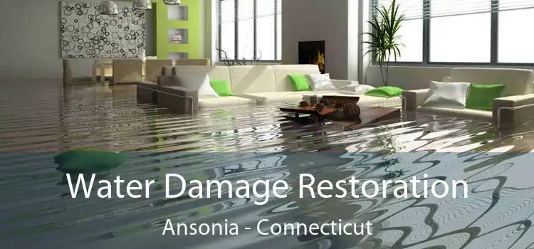 Water Damage Restoration Ansonia - Connecticut