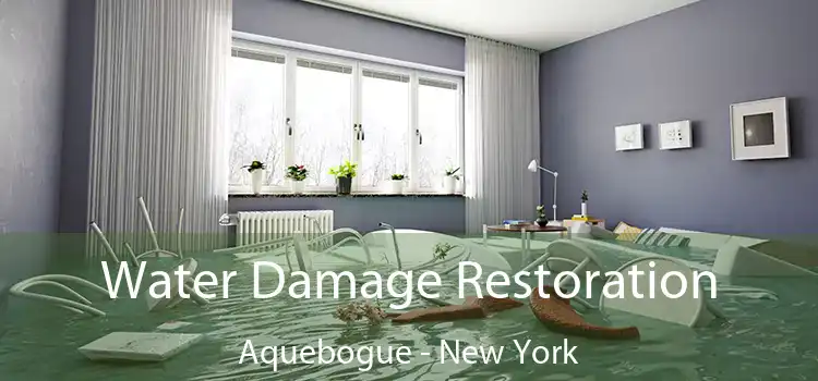 Water Damage Restoration Aquebogue - New York