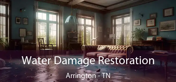 Water Damage Restoration Arrington - TN