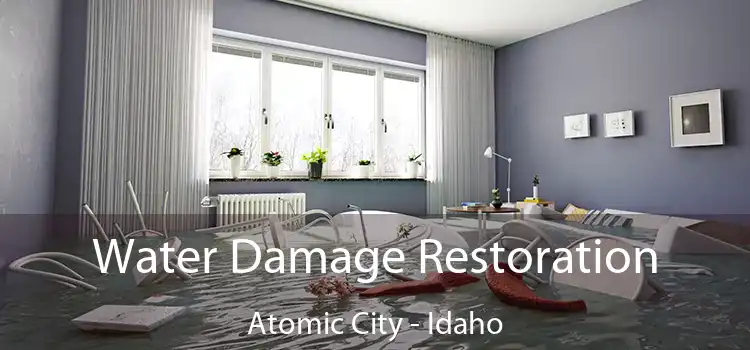 Water Damage Restoration Atomic City - Idaho