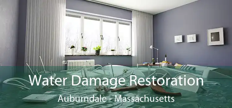 Water Damage Restoration Auburndale - Massachusetts