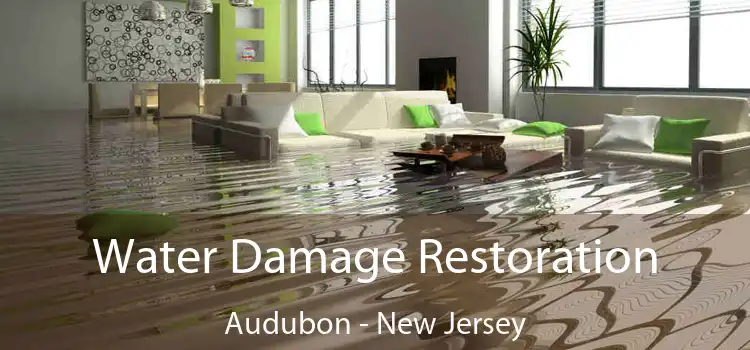 Water Damage Restoration Audubon - New Jersey