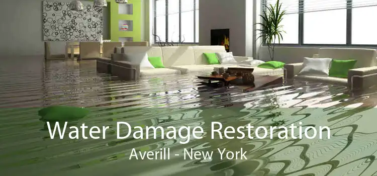 Water Damage Restoration Averill - New York