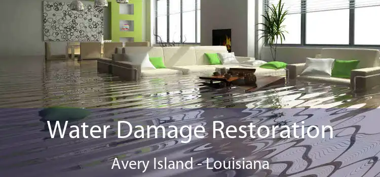 Water Damage Restoration Avery Island - Louisiana