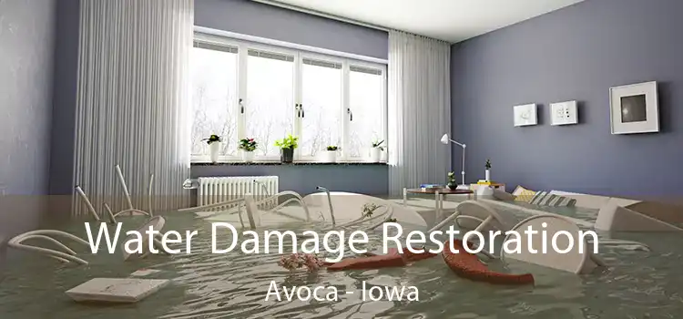 Water Damage Restoration Avoca - Iowa