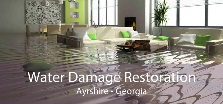 Water Damage Restoration Ayrshire - Georgia