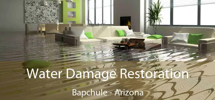 Water Damage Restoration Bapchule - Arizona