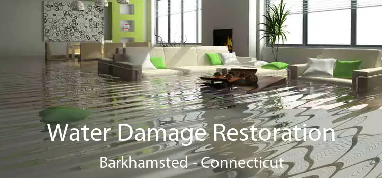 Water Damage Restoration Barkhamsted - Connecticut