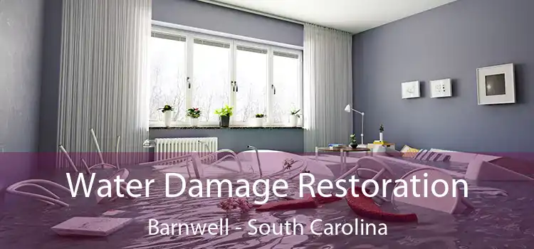 Water Damage Restoration Barnwell - South Carolina