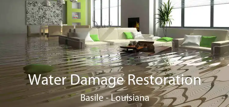 Water Damage Restoration Basile - Louisiana