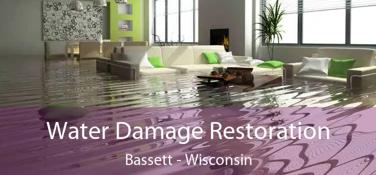 Water Damage Restoration Bassett - Wisconsin