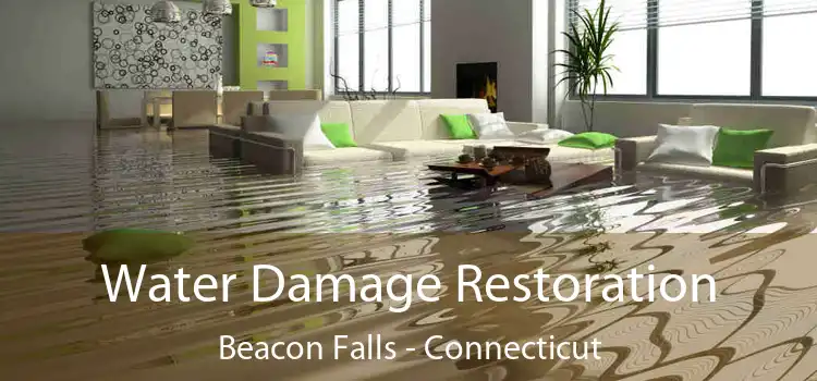 Water Damage Restoration Beacon Falls - Connecticut