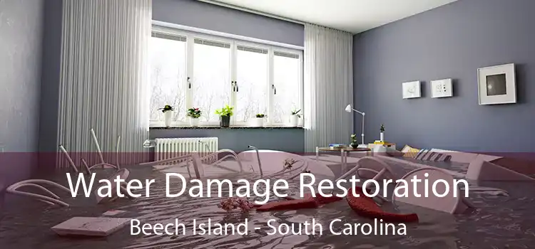 Water Damage Restoration Beech Island - South Carolina