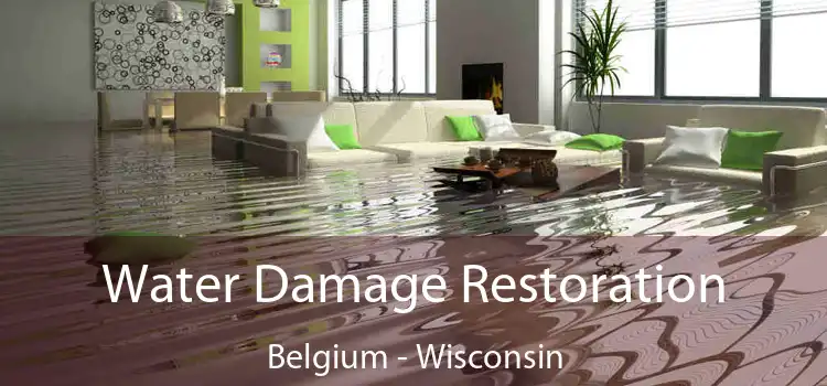 Water Damage Restoration Belgium - Wisconsin