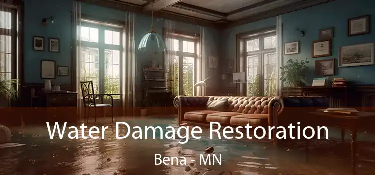 Water Damage Restoration Bena - MN