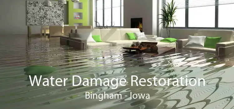 Water Damage Restoration Bingham - Iowa