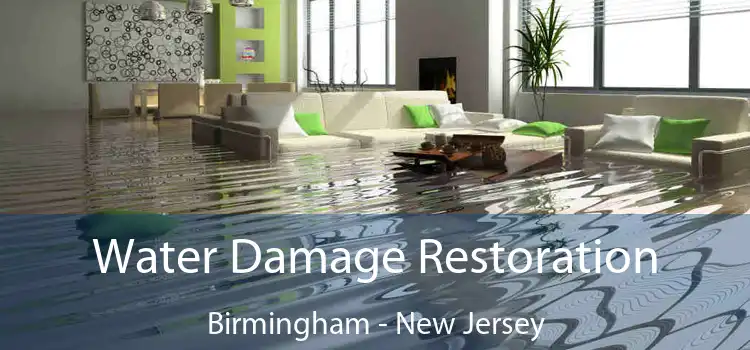 Water Damage Restoration Birmingham - New Jersey