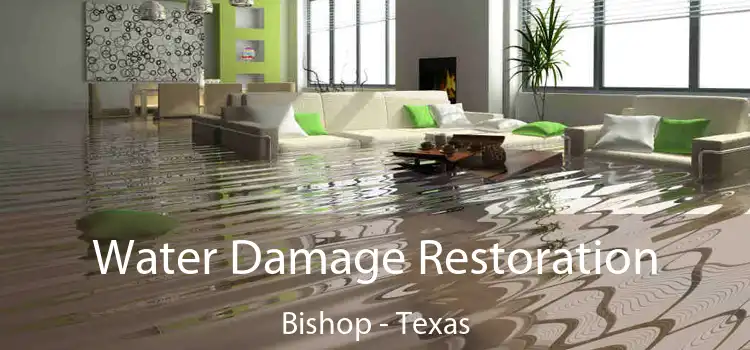 Water Damage Restoration Bishop - Texas