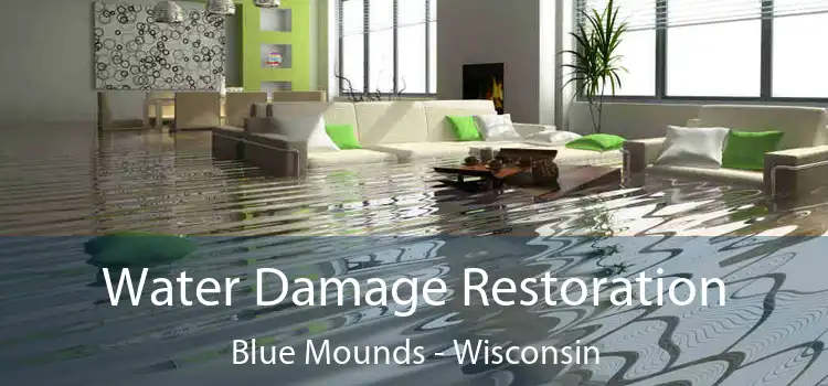 Water Damage Restoration Blue Mounds - Wisconsin