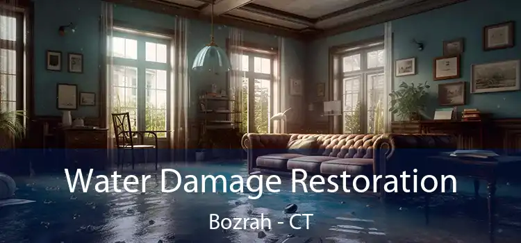 Water Damage Restoration Bozrah - CT