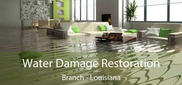 Water Damage Restoration Branch - Louisiana