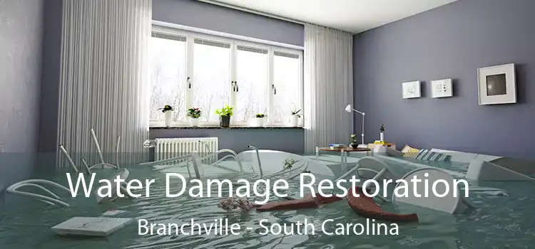 Water Damage Restoration Branchville - South Carolina