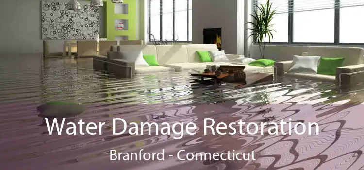 Water Damage Restoration Branford - Connecticut