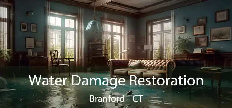 Water Damage Restoration Branford - CT