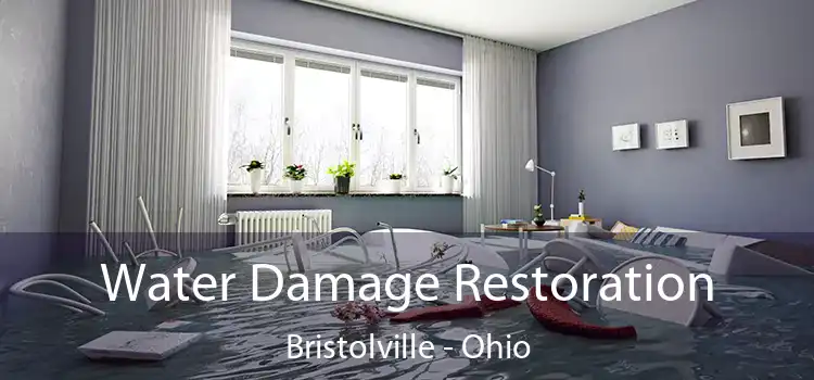 Water Damage Restoration Bristolville - Ohio