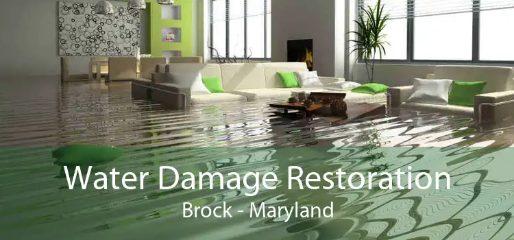 Water Damage Restoration Brock - Maryland