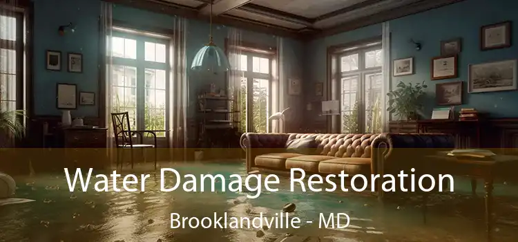 Water Damage Restoration Brooklandville - MD