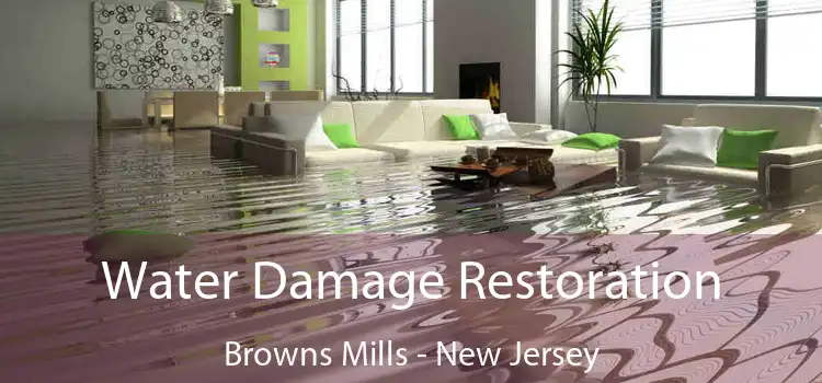 Water Damage Restoration Browns Mills - New Jersey