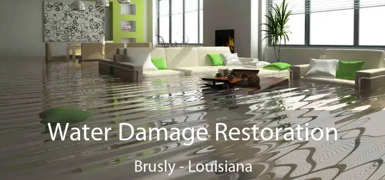 Water Damage Restoration Brusly - Louisiana