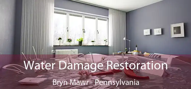 Water Damage Restoration Bryn Mawr - Pennsylvania