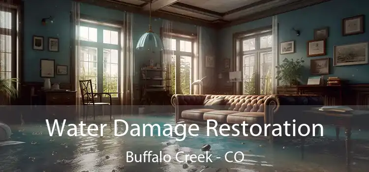 Water Damage Restoration Buffalo Creek - CO