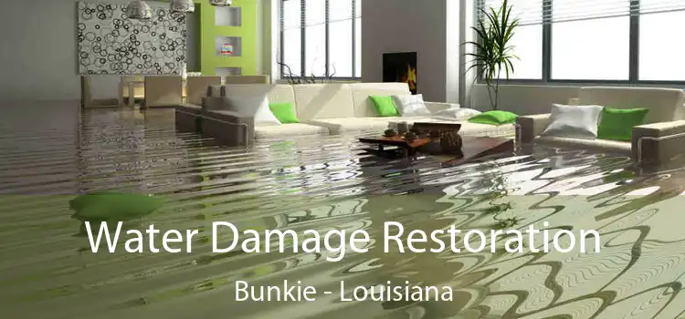 Water Damage Restoration Bunkie - Louisiana