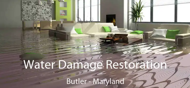 Water Damage Restoration Butler - Maryland