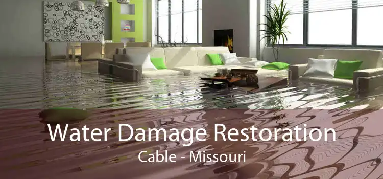 Water Damage Restoration Cable - Missouri