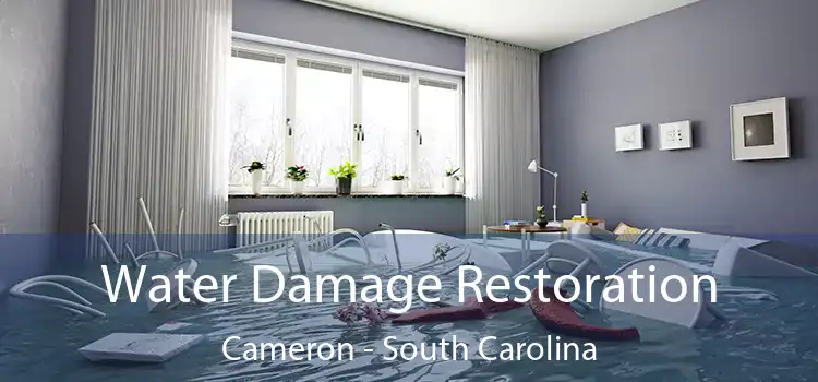 Water Damage Restoration Cameron - South Carolina