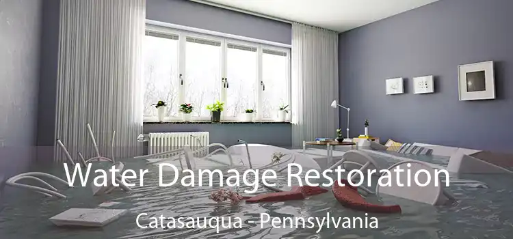 Water Damage Restoration Catasauqua - Pennsylvania