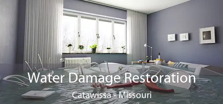 Water Damage Restoration Catawissa - Missouri