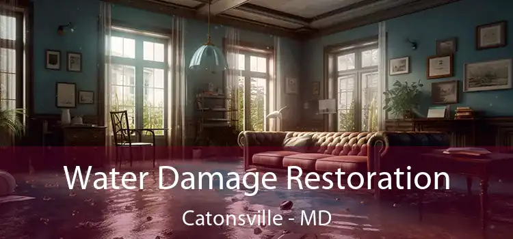 Water Damage Restoration Catonsville - MD