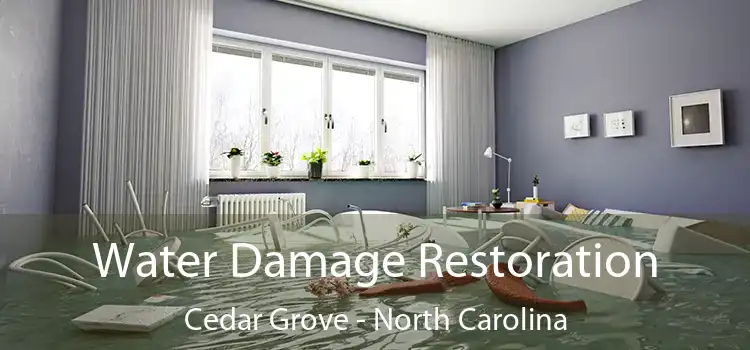 Water Damage Restoration Cedar Grove - North Carolina