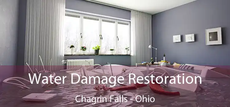 Water Damage Restoration Chagrin Falls - Ohio