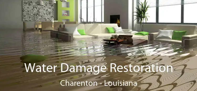 Water Damage Restoration Charenton - Louisiana