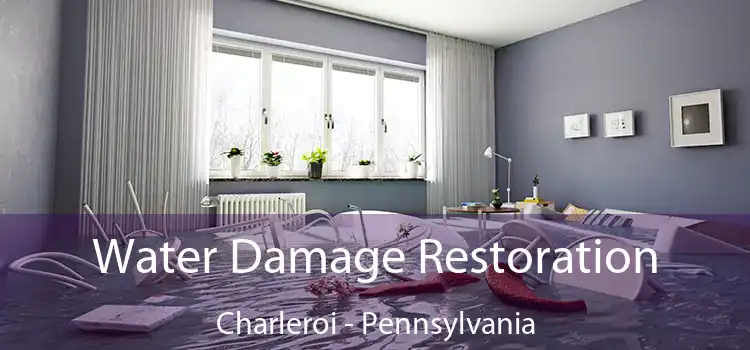 Water Damage Restoration Charleroi - Pennsylvania